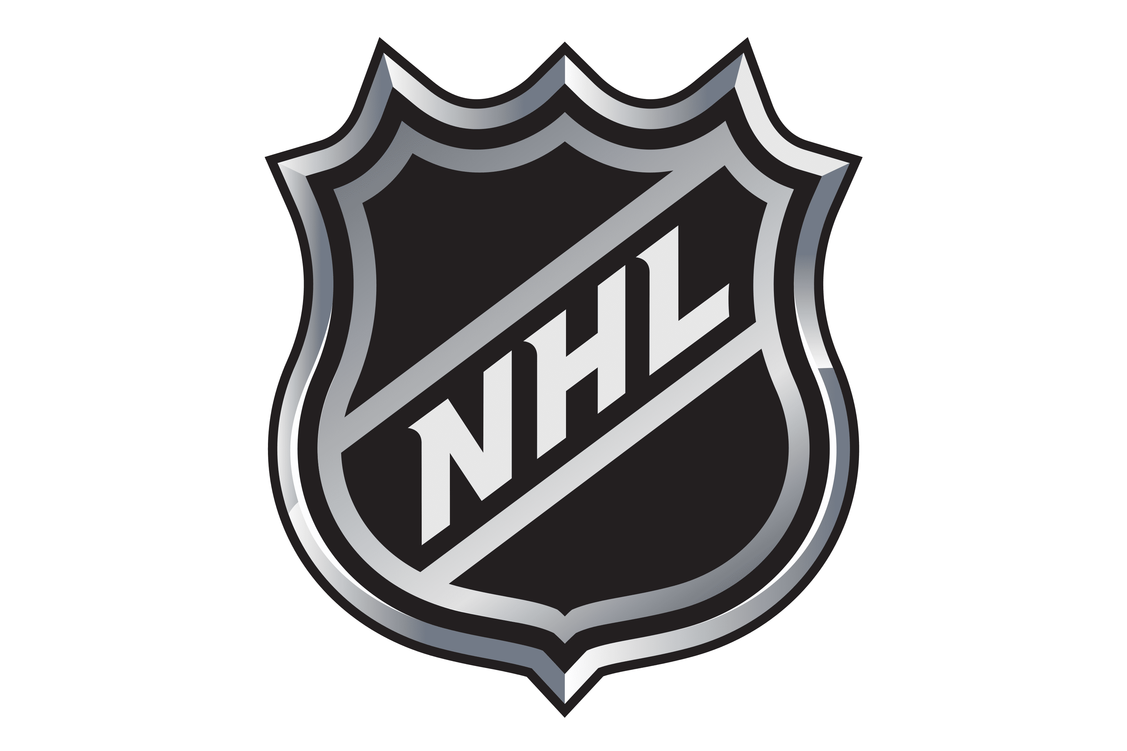 NHL 国家冰球联盟